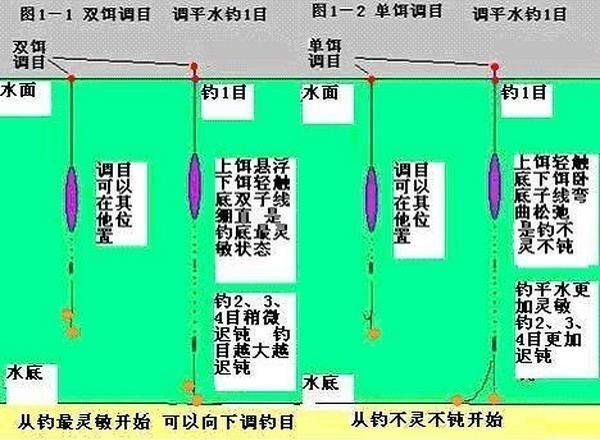 学钓鱼调漂视频直播，入门技巧与实时互动体验教学